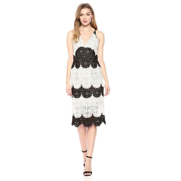 NWT Dress The Population Guipure Lace Midi Dress - Picture 3 of 6